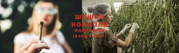 скорость Гусев