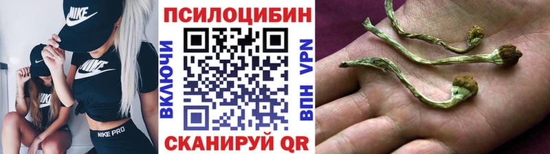 Псилоцибиновые грибы Psilocybe  Новомосковск 